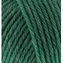 Купити ALIZE Wooltime 532