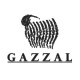 Турецька пряжа GAZZAL