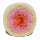 Купить YARNART Rosegarden 302