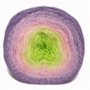 Купить YARNART Rosegarden 312